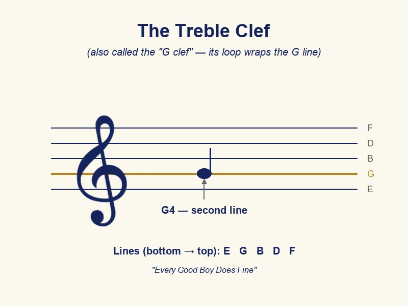 Módulo 7: Ritmo y notación — Module 7 Treble Clef G4