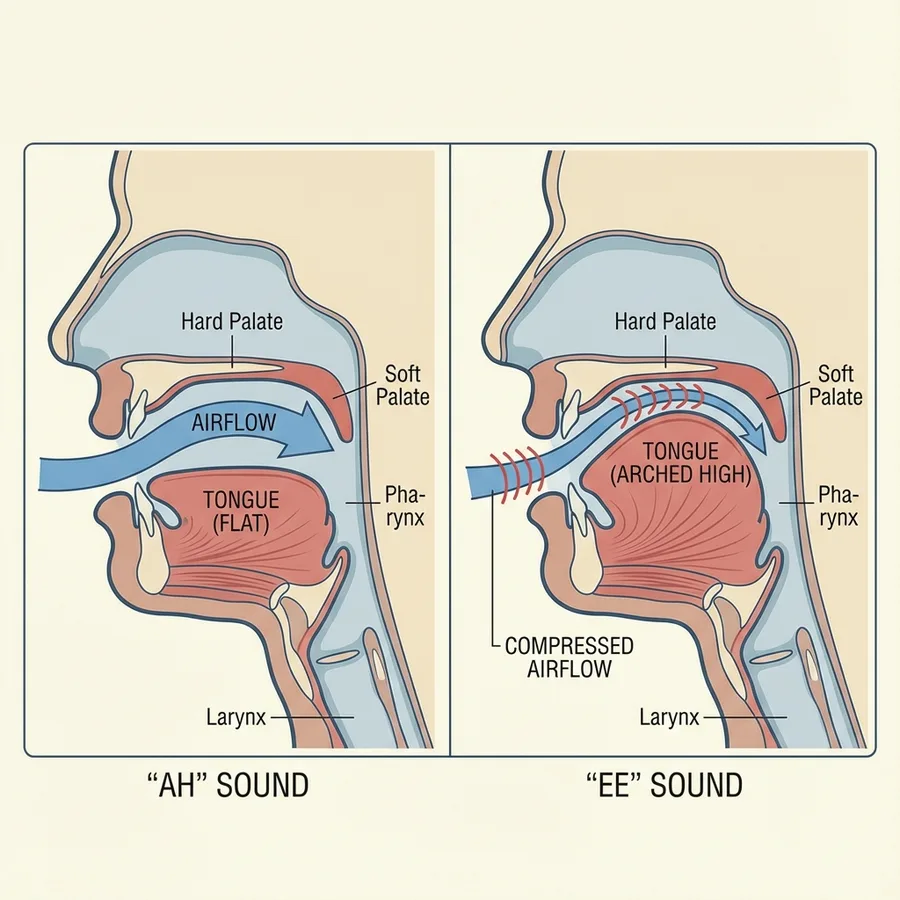 Module 9: Slurring (Flexibility) — Module 9 Tongue Arch Ah Ee